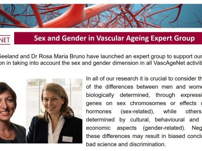 Launch of the Sex and Gender in Vascular Ageing Expert Group