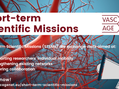 STSM, ITC and VM Grants are open for application!